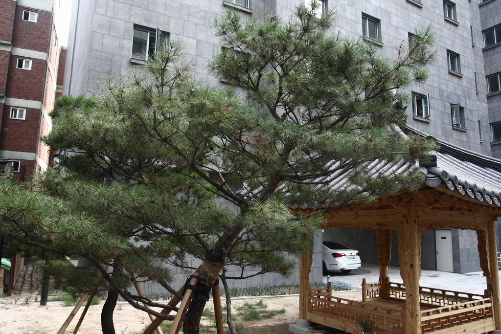 Fortune Hostel Jongno Seul Zewnętrze zdjęcie
